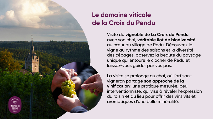 Le domaine viticole de la Croix du Pendu à Redu, à deux pas du musée Mudia